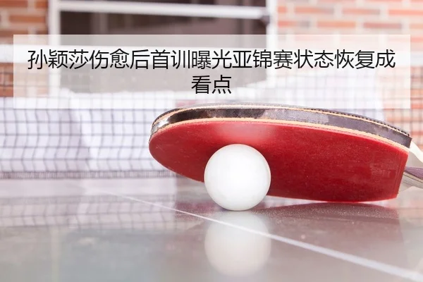 孙颖莎伤愈后首训曝光亚锦赛状态恢复成看点